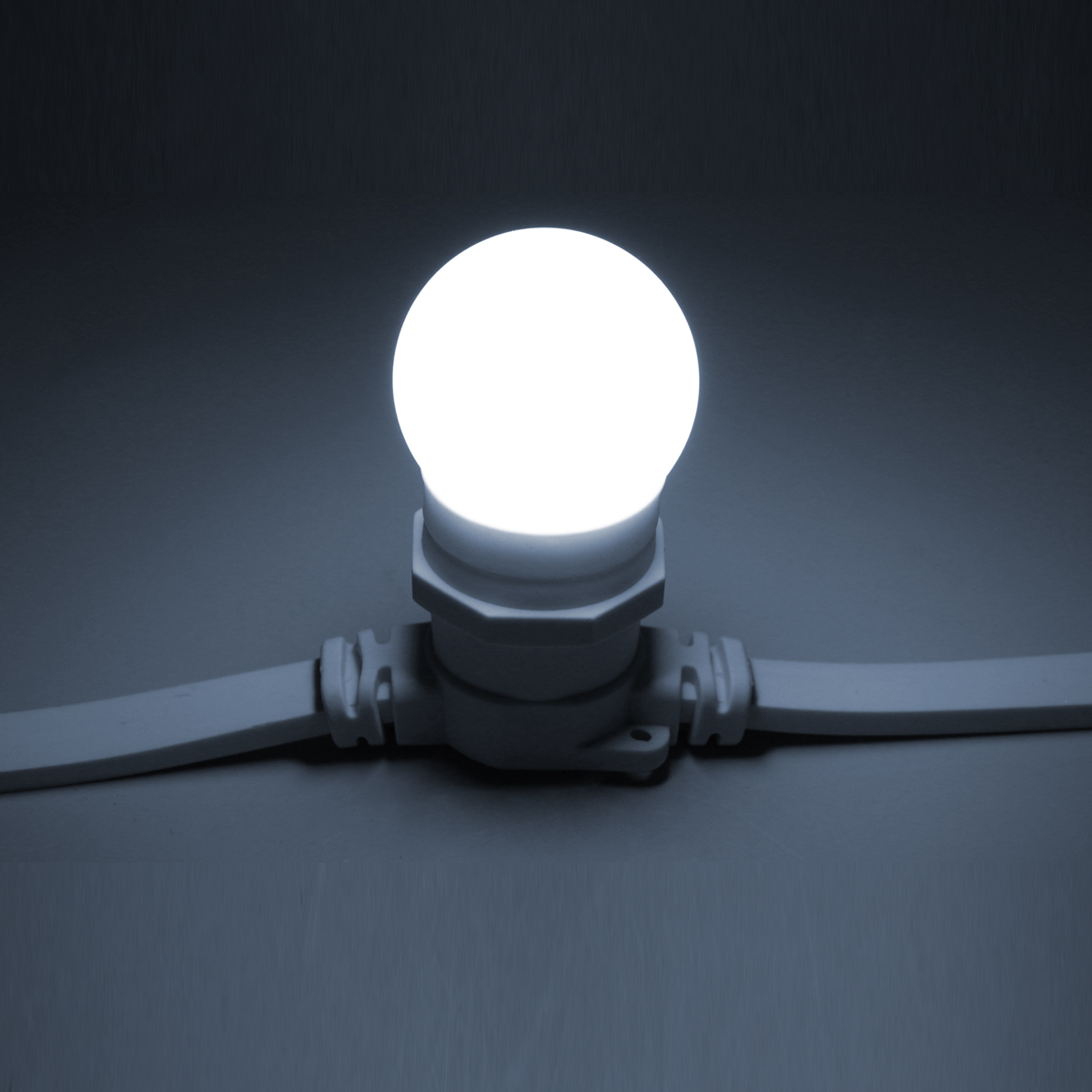 Светодиодная лампа для белт-лайт, 220В, 2 Вт, d=45 мм